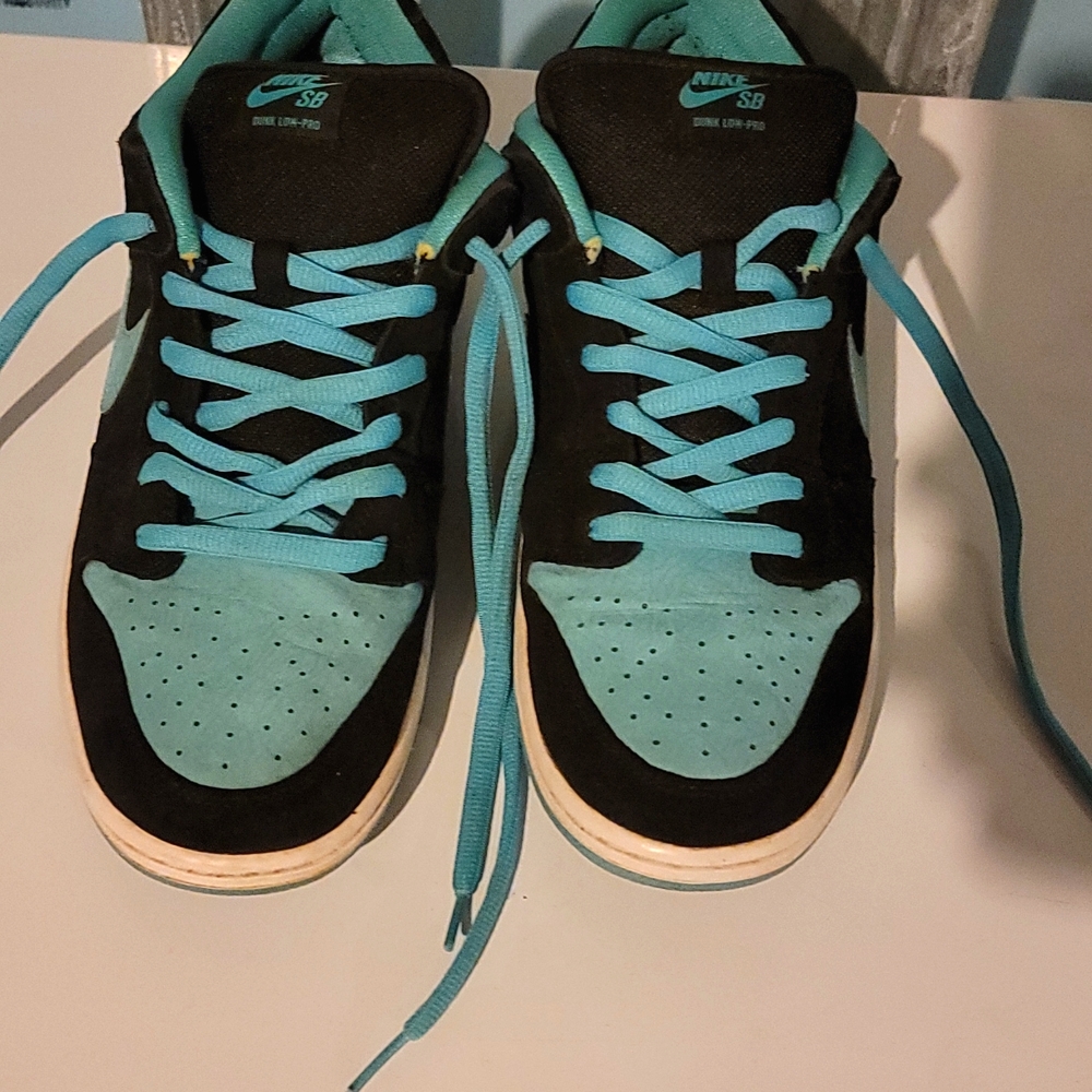 Nike dunk sb low "clear jade" RARE size 13